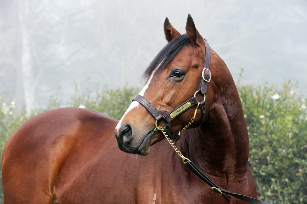 Mapperley Stud announce 2025 service fees