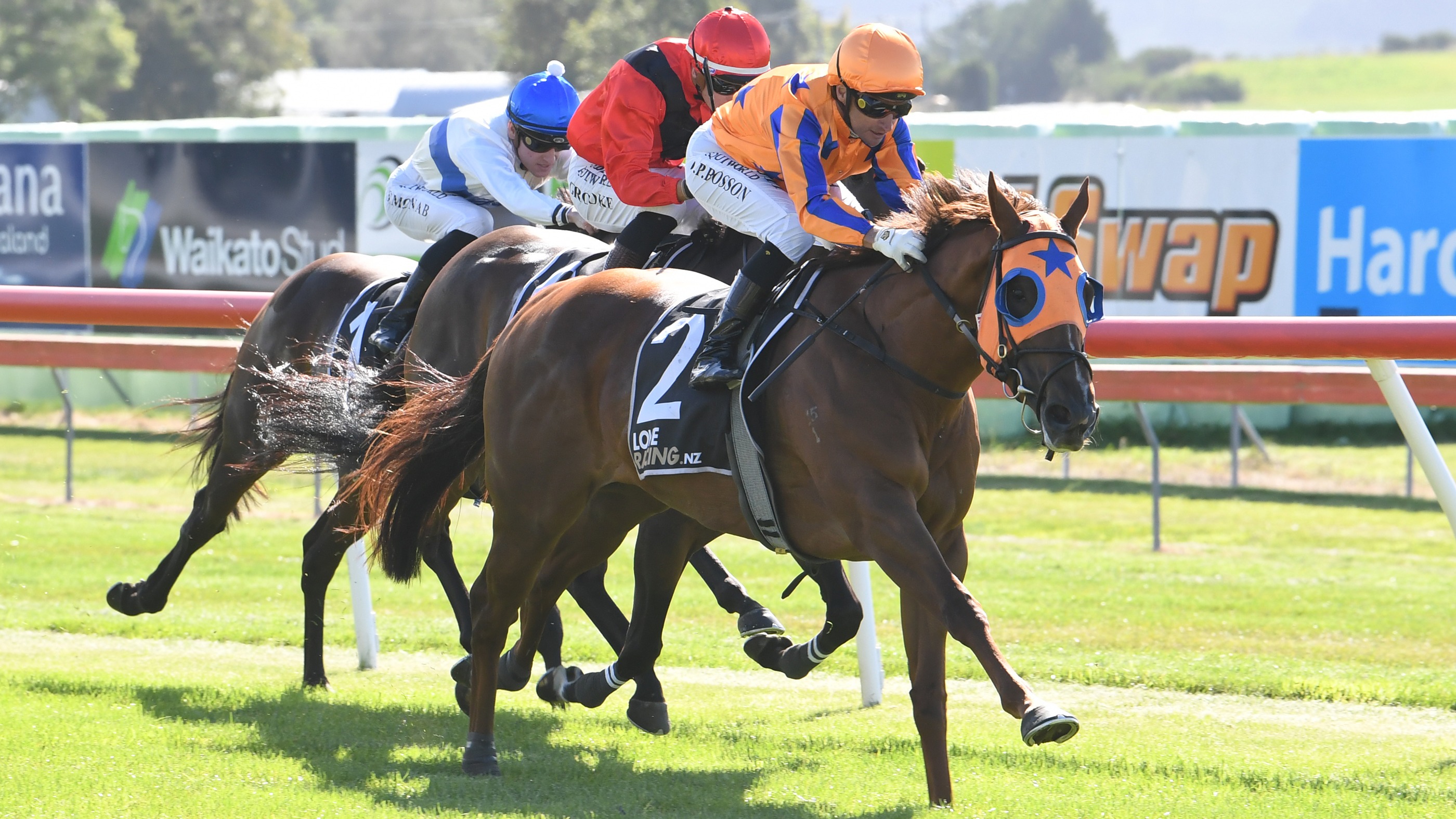 Group One mare recaptures winning form