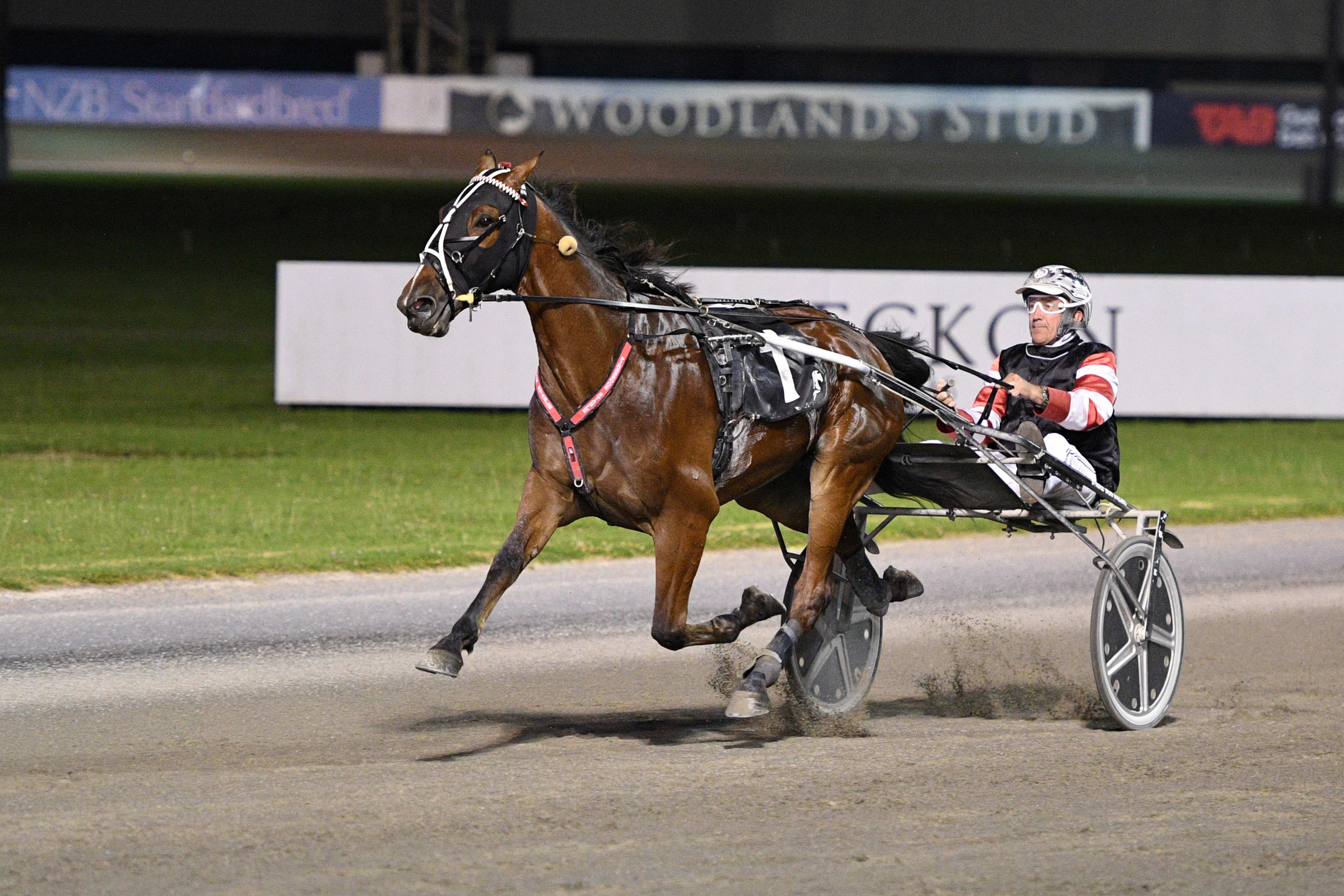 New star Hillbilly Blues has Golden Gait in his sights