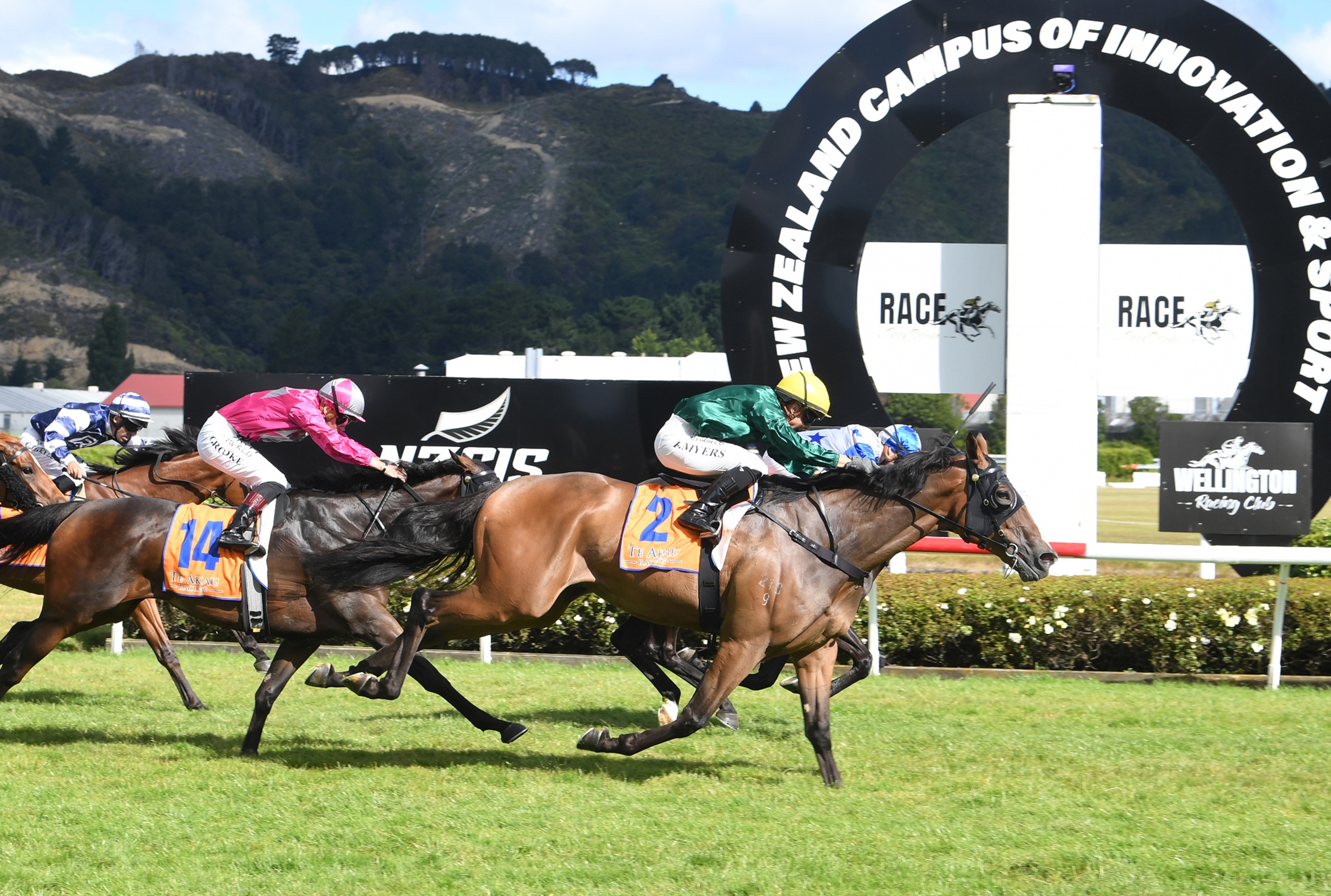 Huge effort from Titicaca in Remutaka Classic