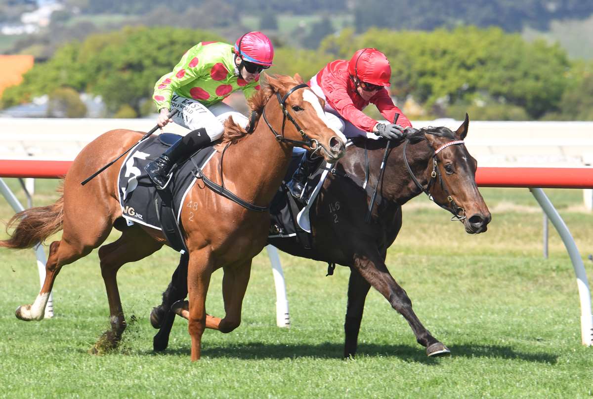 Trainer in no rush to lock in 3YO targets