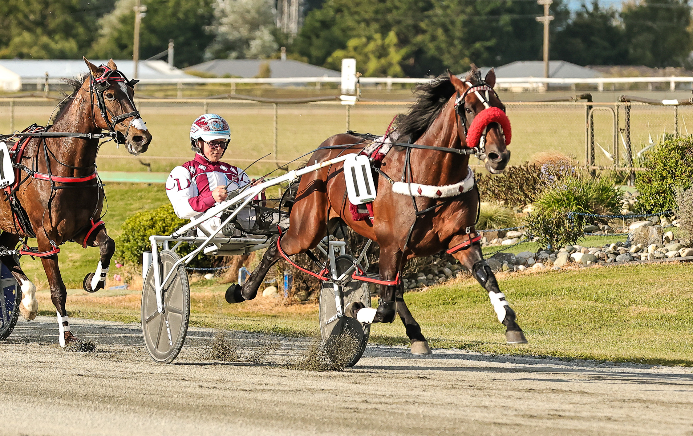 Jonny Turner: Republican Party faces Invercargill Cup test 