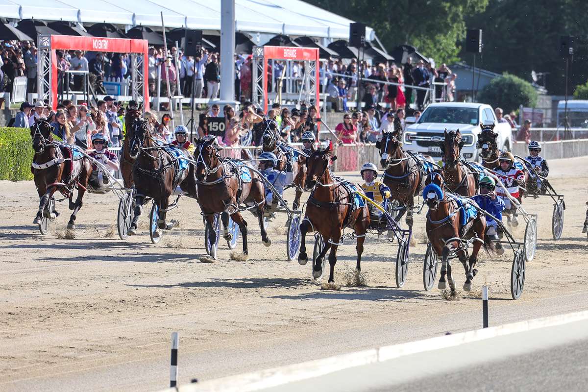 Total of 75 nominations for IRT NZ Cup and Renwick Farms Dominion Trot