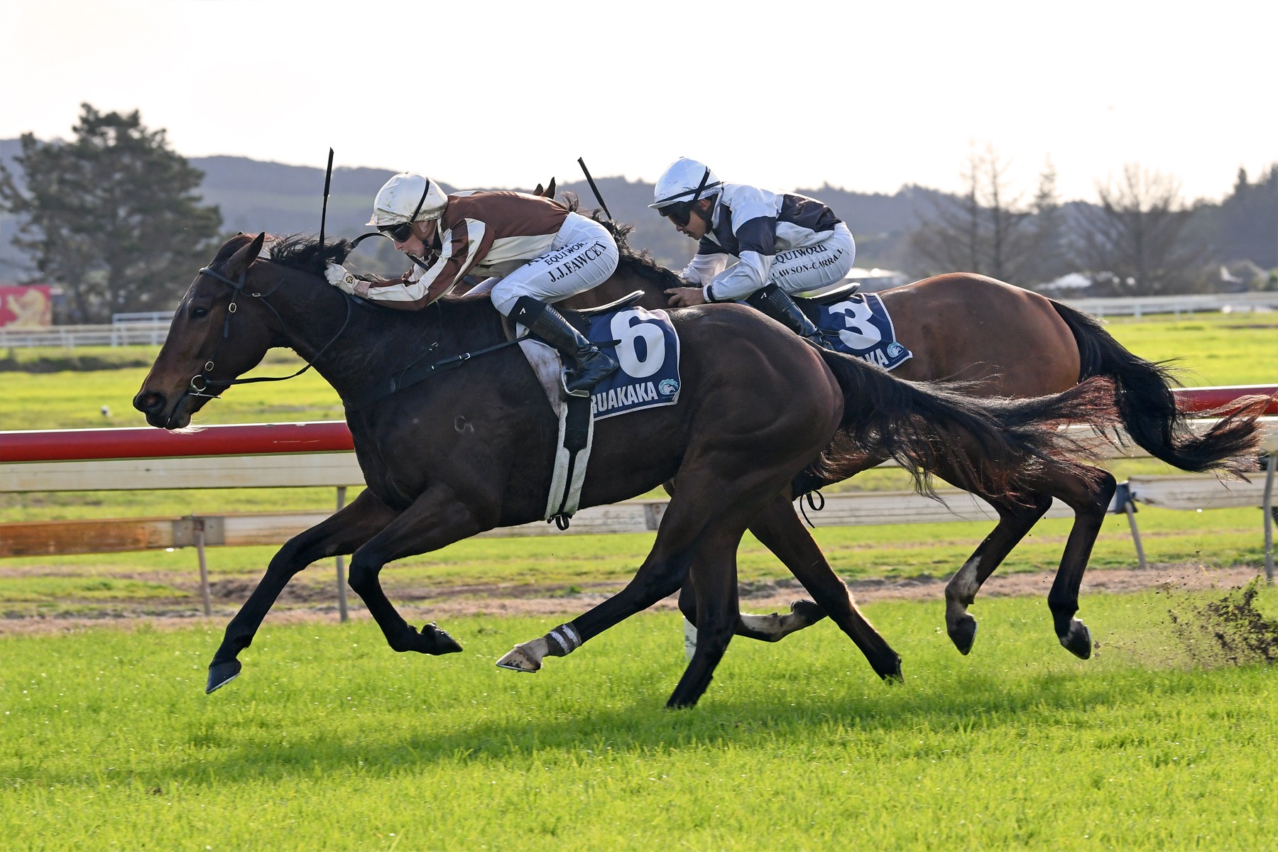 Northern mission pays off with Levakia