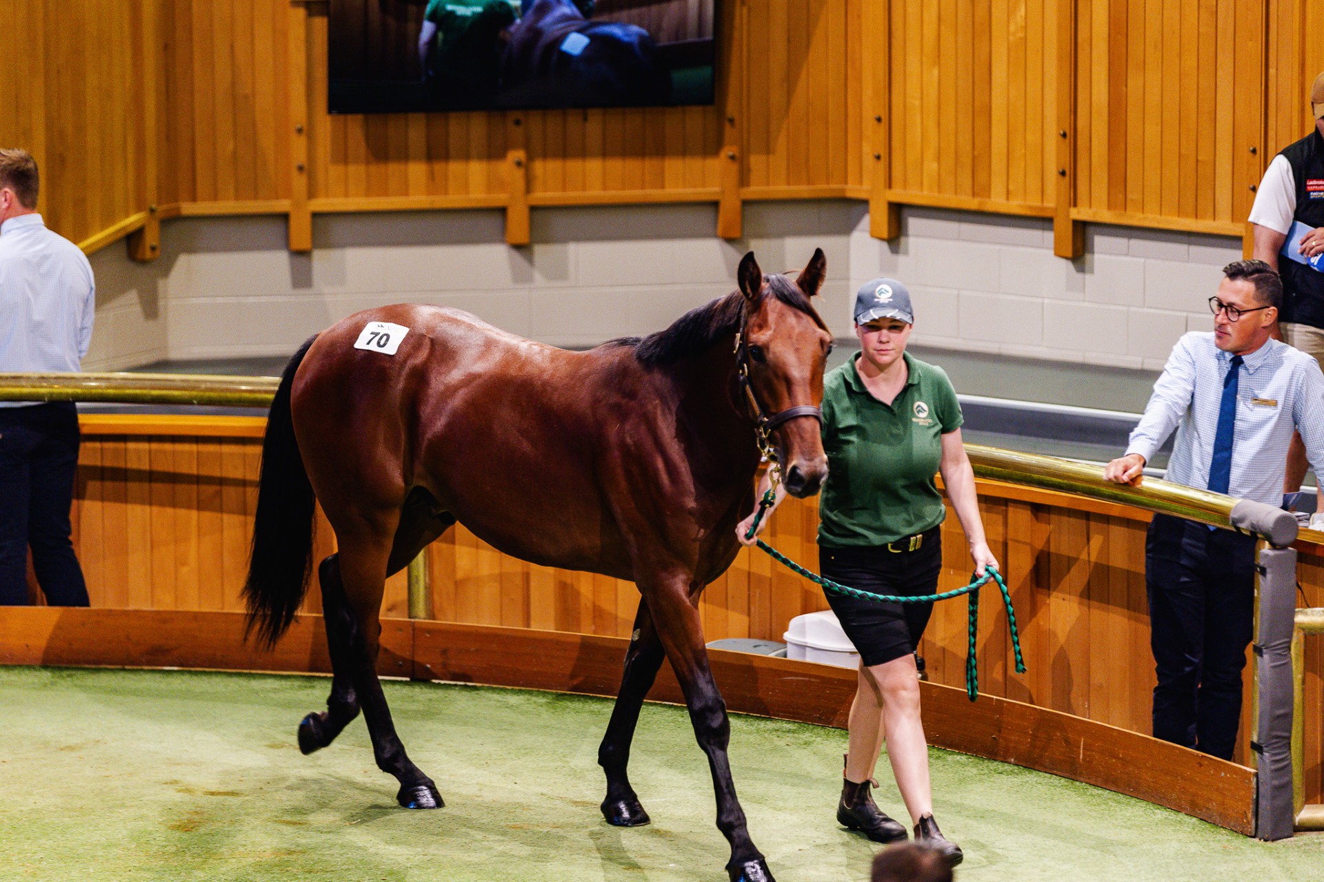 Every metric rises sharply at National Yearling Sale