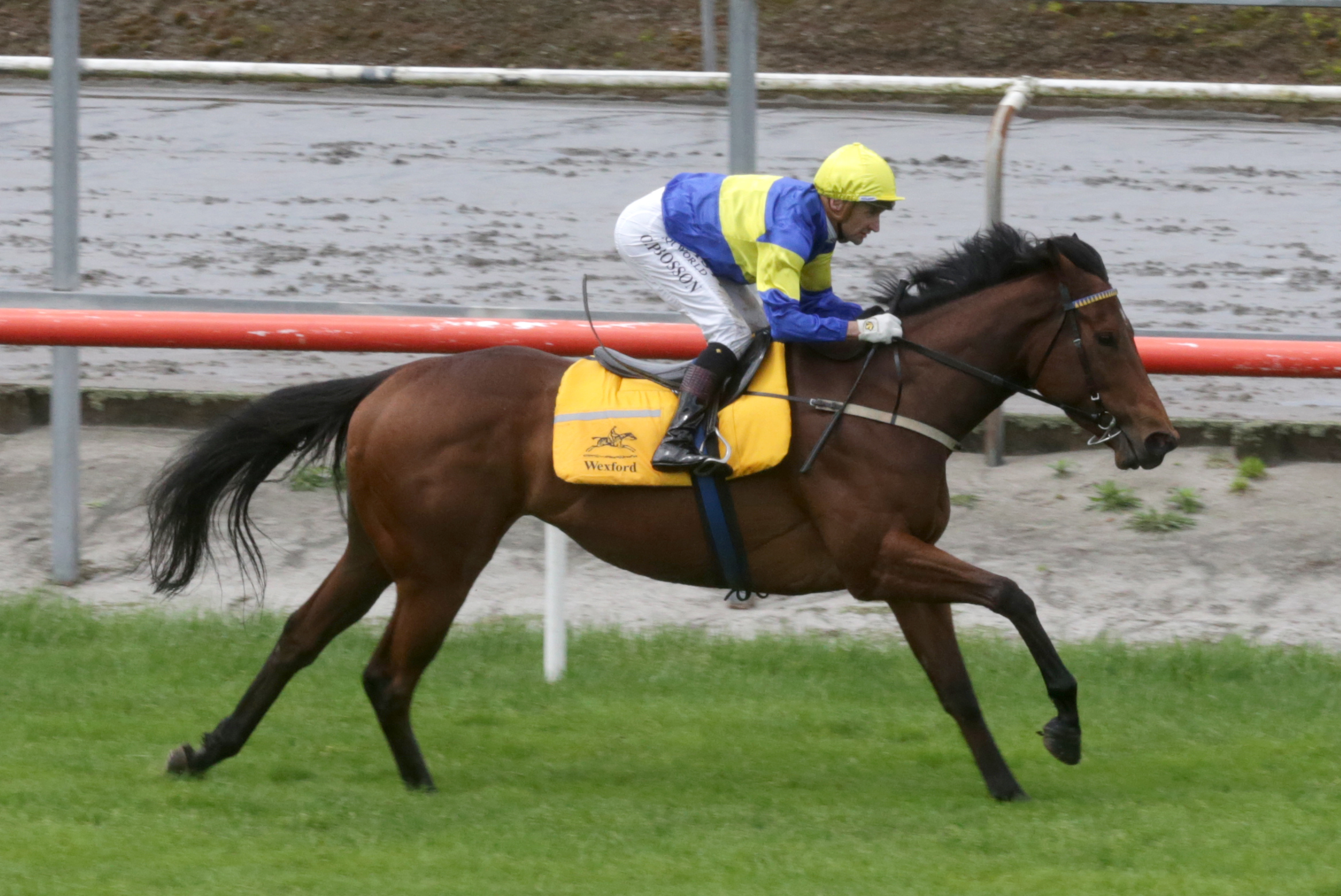 Sweynesse to get Grail Seeker’s spring back on track