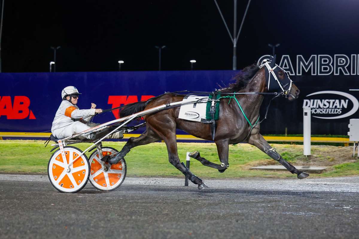 Quirky Trotter Crazy Gets Another Shot at Cambridge