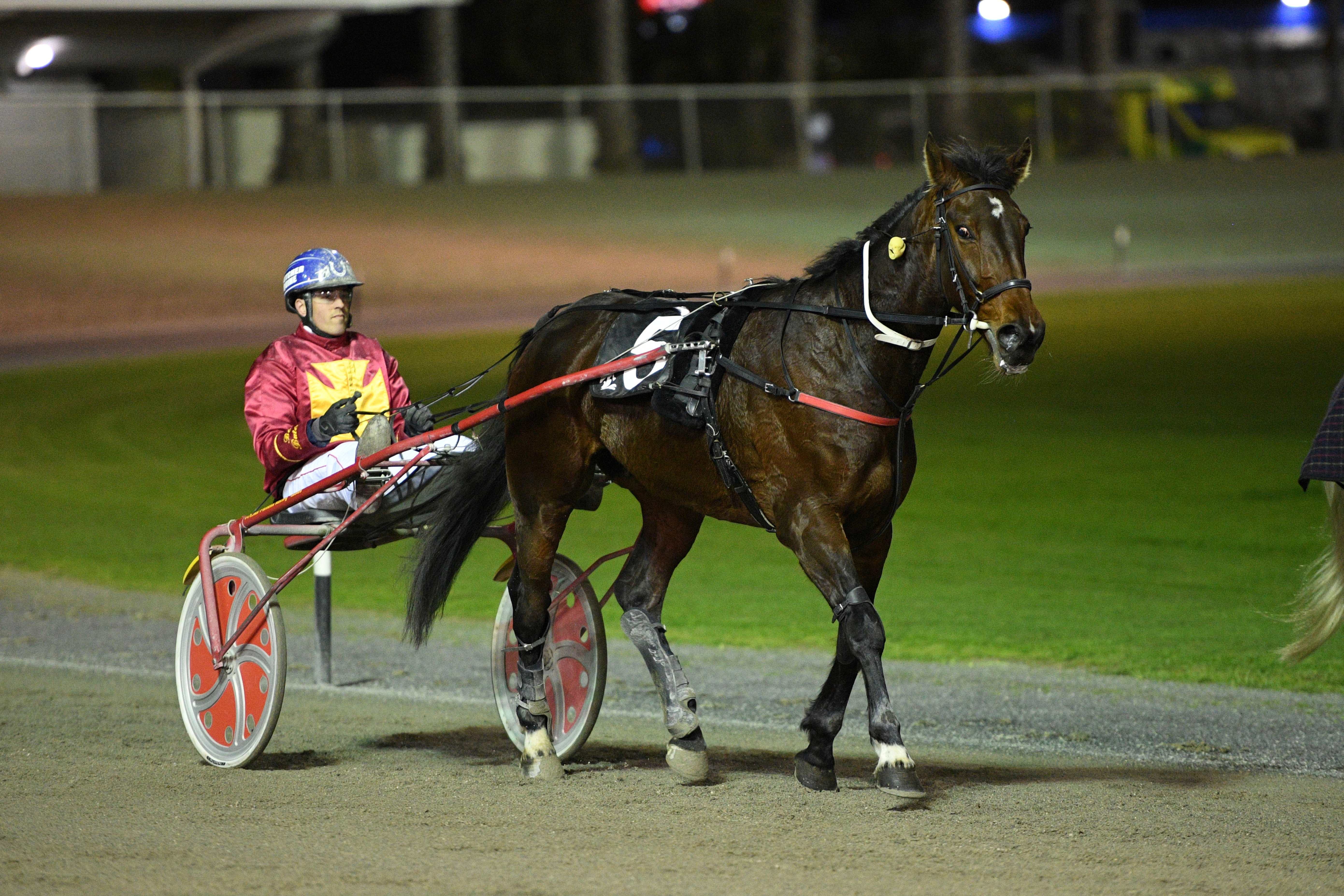 Caution encouraged around new Purdon Racing prospect at Cambridge