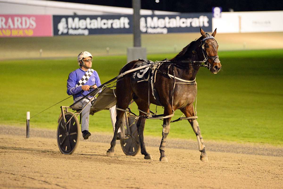 Cambridge not on radar for Captains Mistress