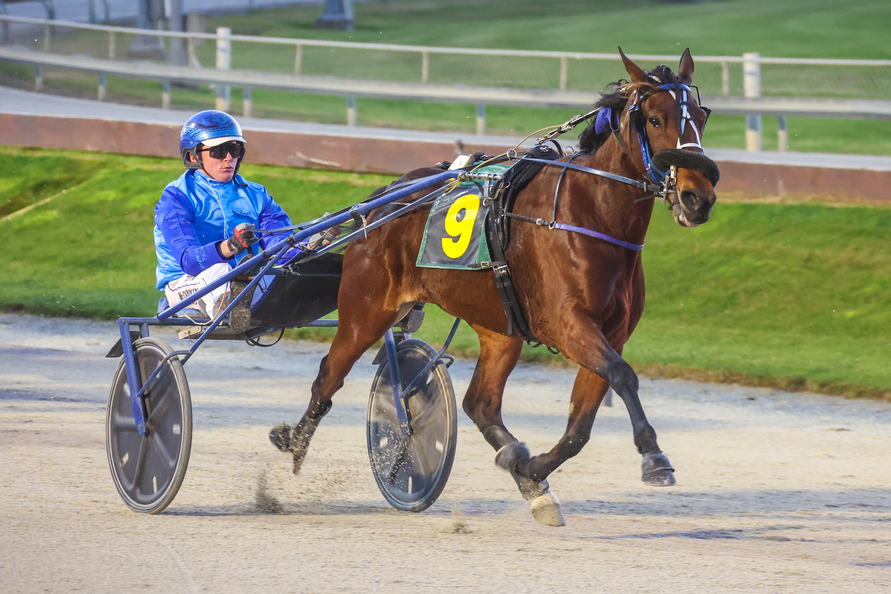 Freya storms into Silk Road contention with dominant victory