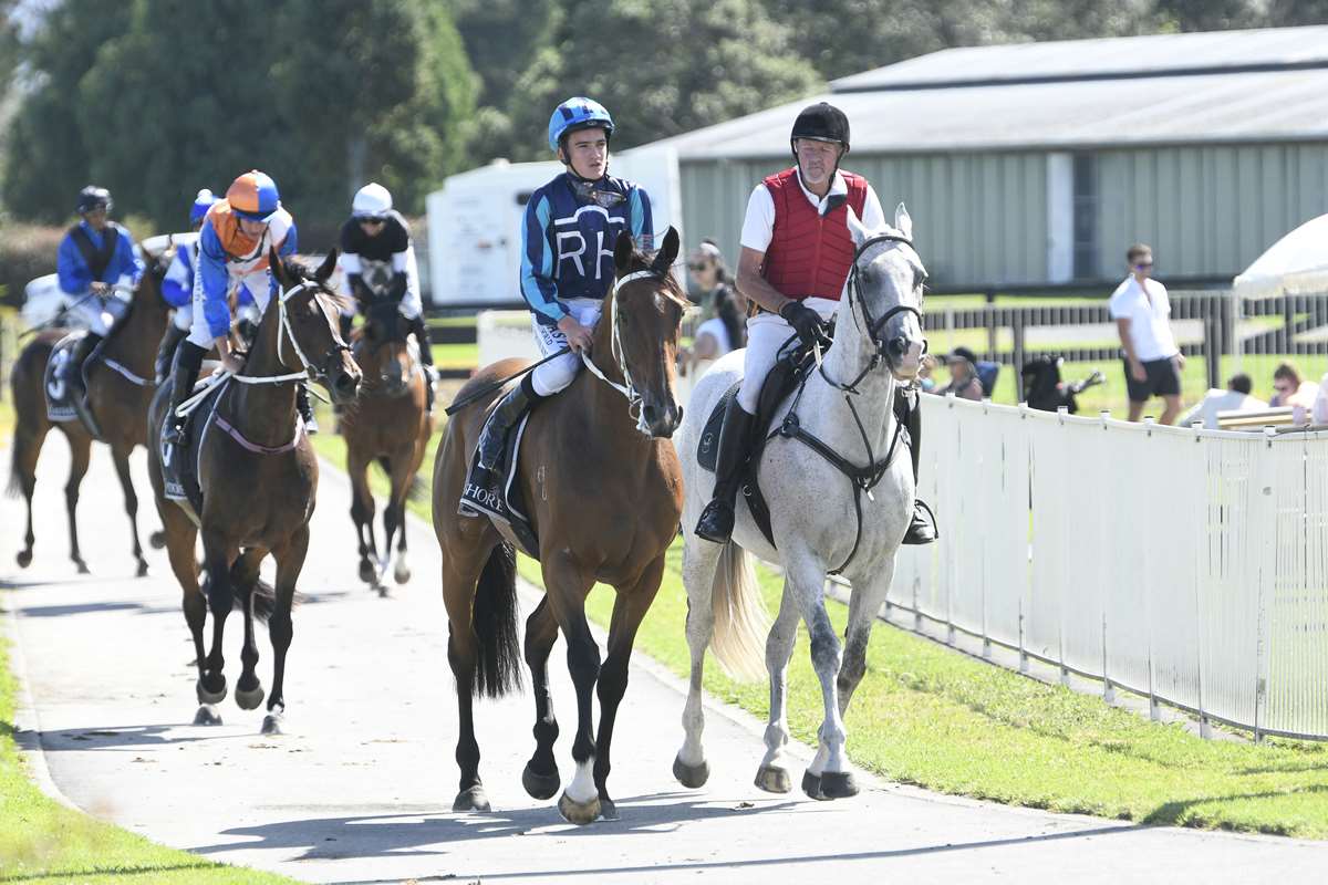 Young jockey Ngakau Hailey dies in dirtbike crash