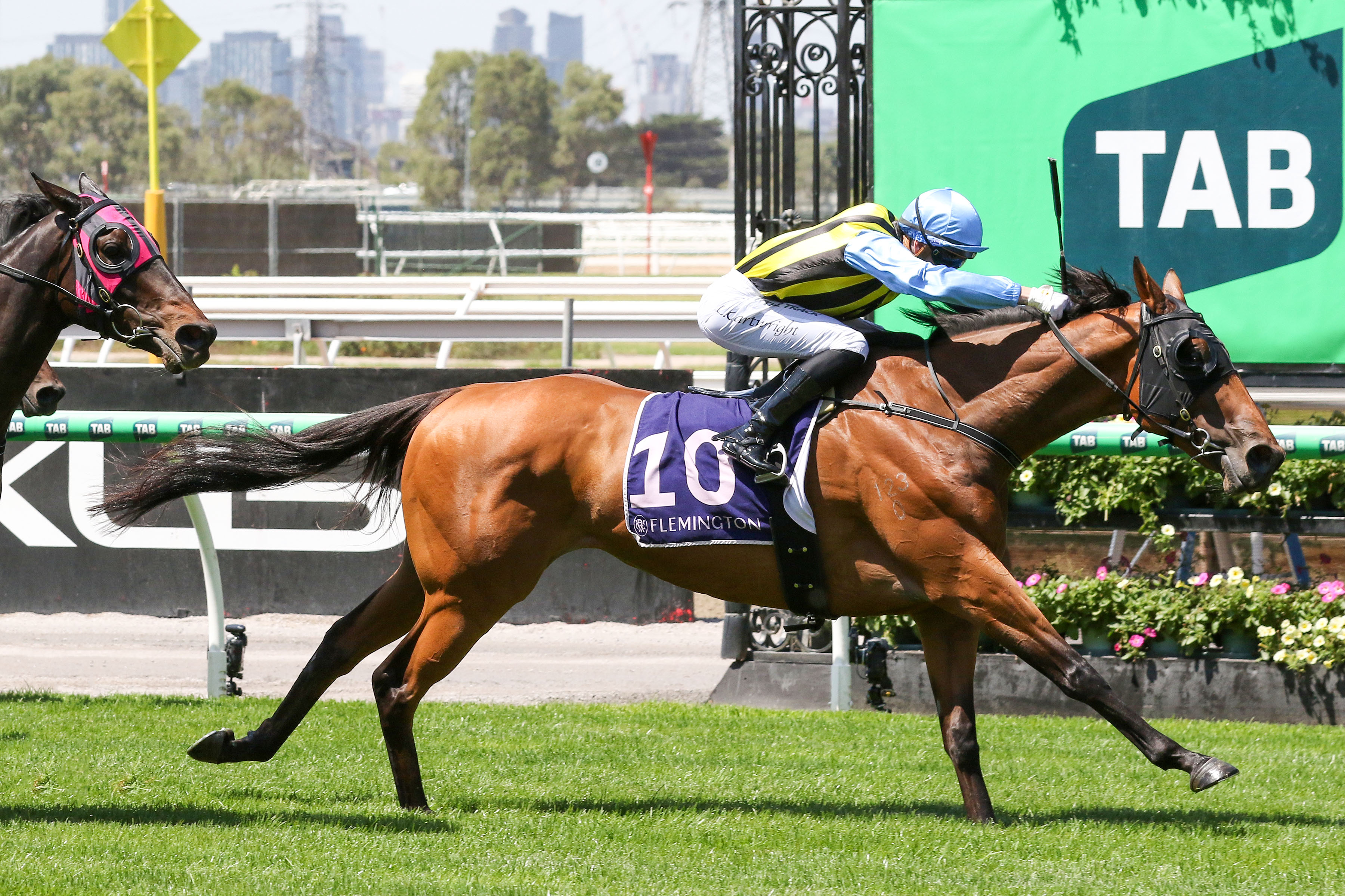 Tarvue adds to strong Flemington record