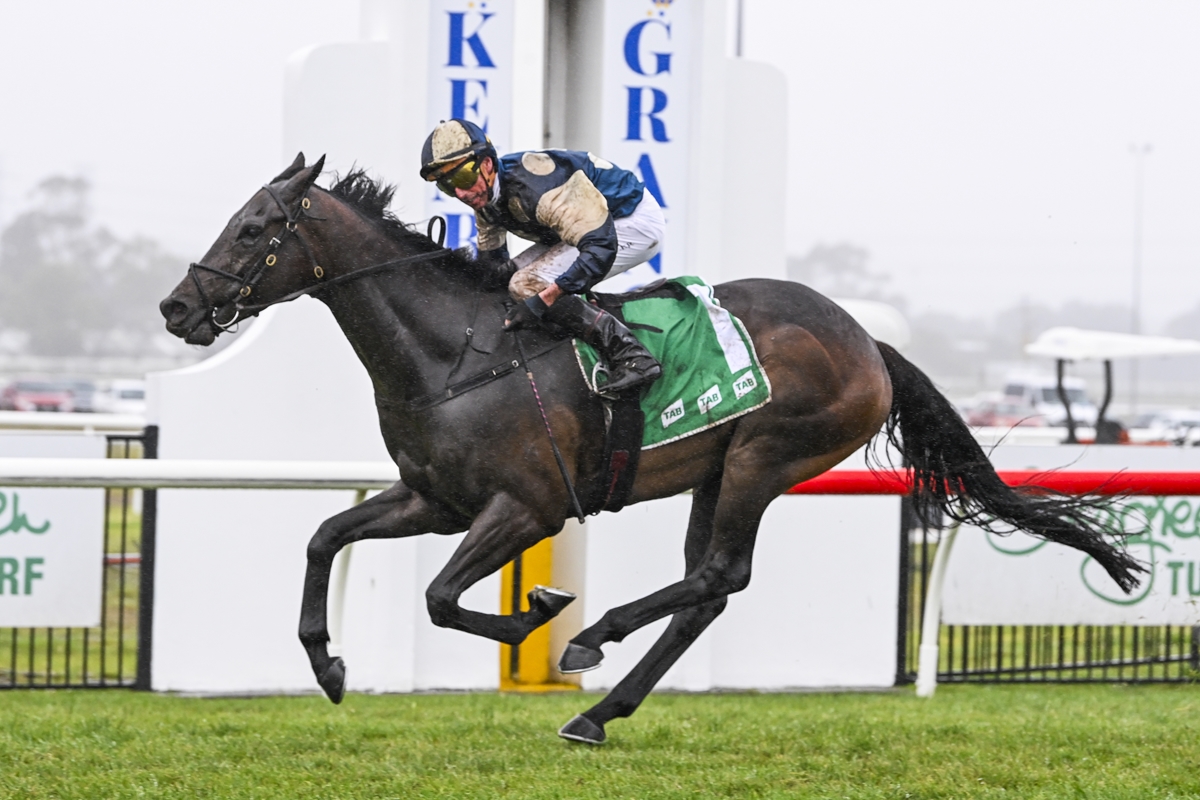 Gringotts goes back-to-back in The Gong