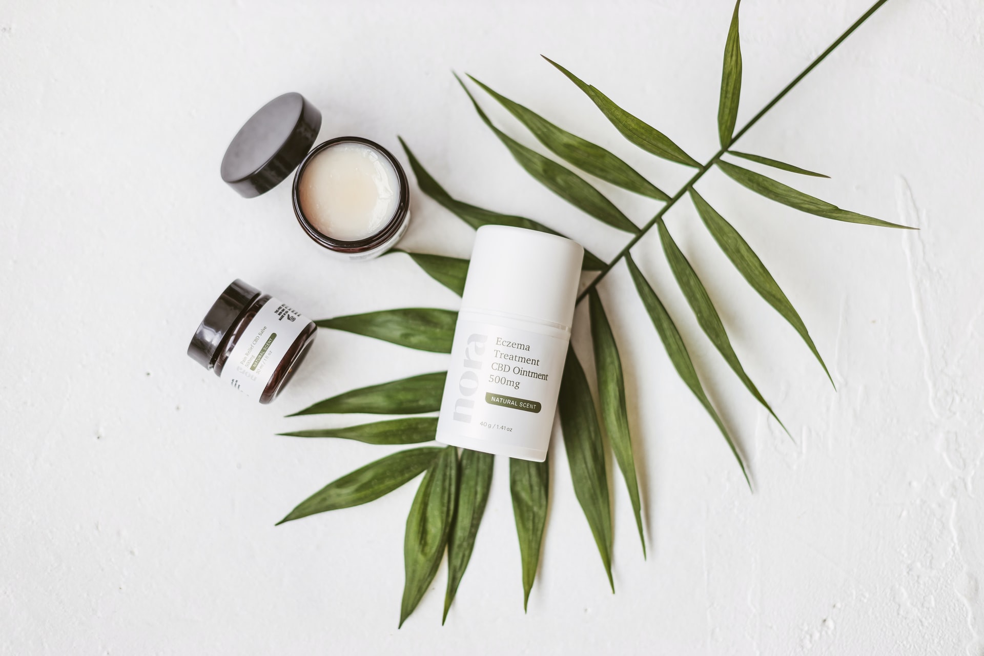 Transport Produktów Ekologicznych | Omida VLS