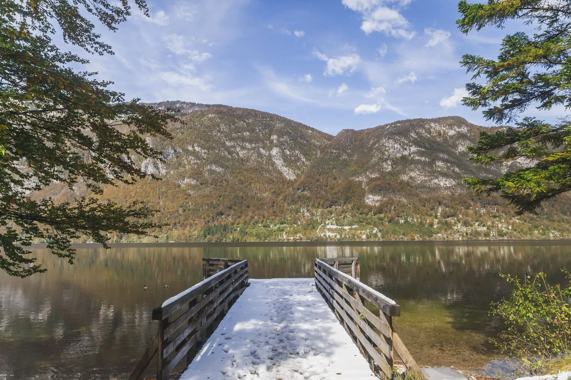 Słowenia to kraj o bogatej historii i kulturze. Sprawdź najważniejsze informacje dotyczące transportu ładunków w relacji Polska - Słowenia. | Omida VLS