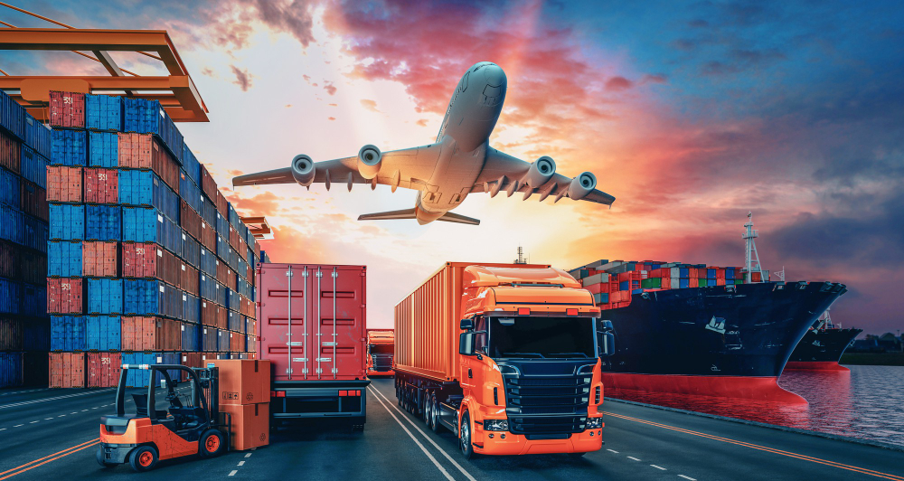 Logistyka transportu Omida VLS
