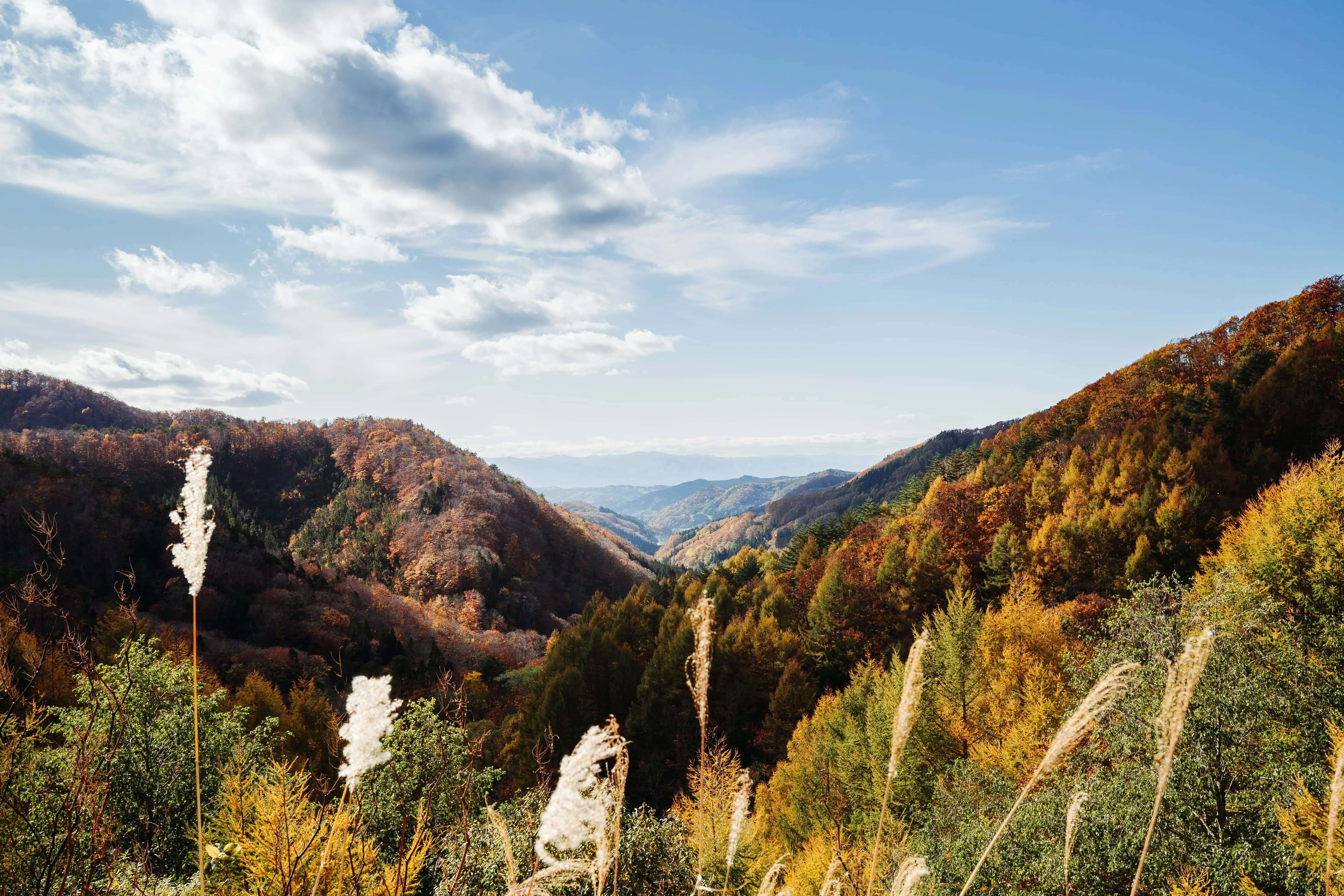Wieloletnie doświadczenie w branży TSL, pozwala nam na organizacje bezproblemowego transportu do/z Andory. Wyceniamy usługę dla każdego klienta indywidualnie. | Omida VLS