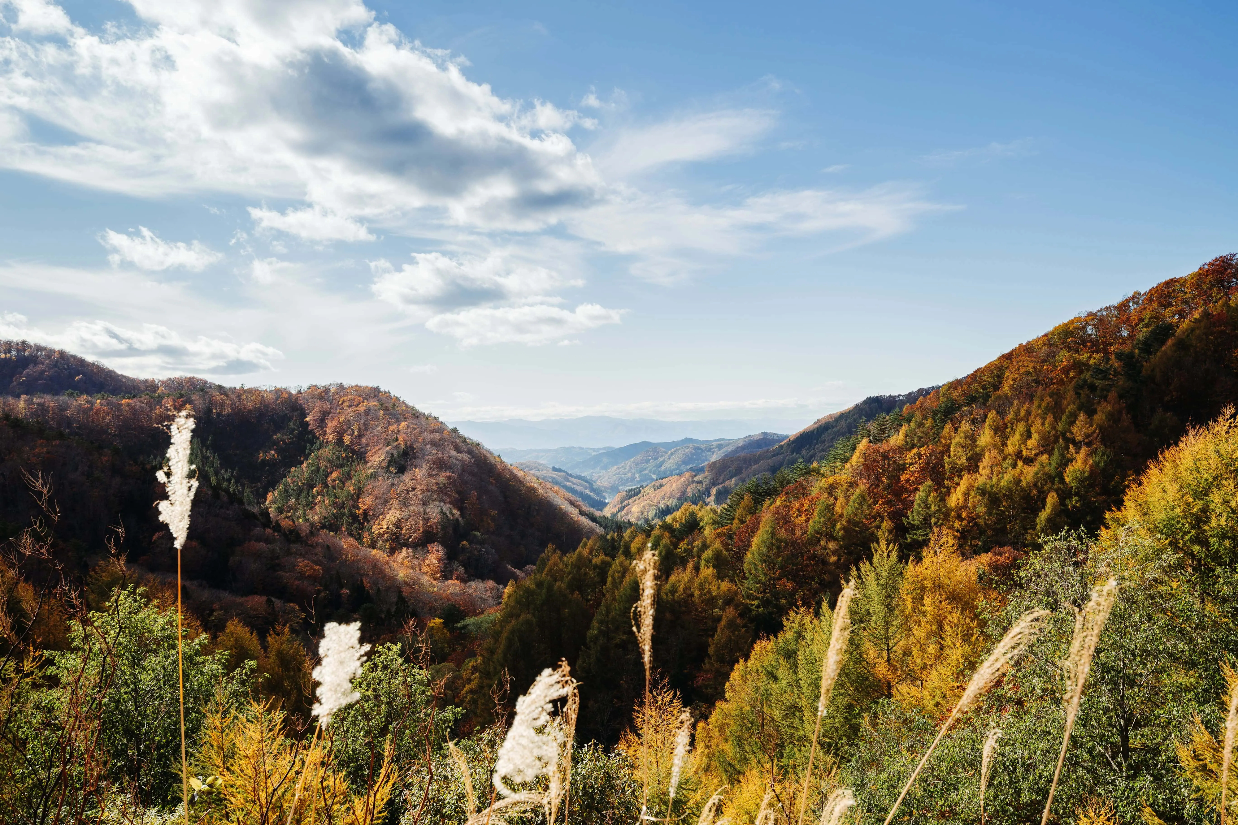 Wieloletnie doświadczenie w branży TSL, pozwala nam na organizacje bezproblemowego transportu do/z Andory. Wyceniamy usługę dla każdego klienta indywidualnie. | Omida VLS