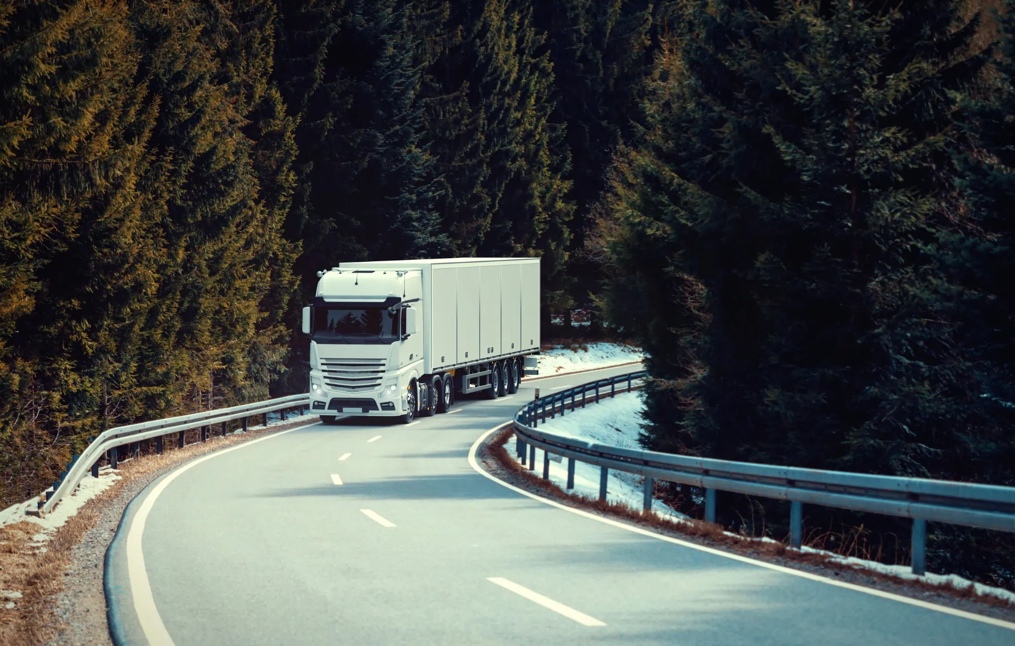 Transport Polska Skandynawia | Omida VLS