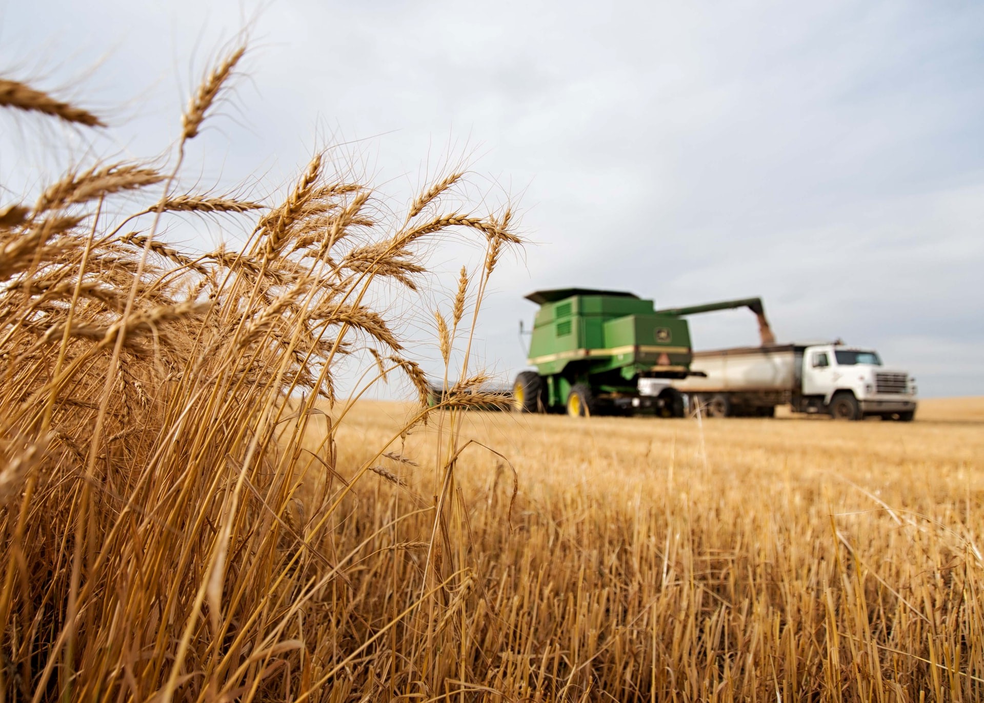 Transport Maszyn Rolniczych | Omida VLS