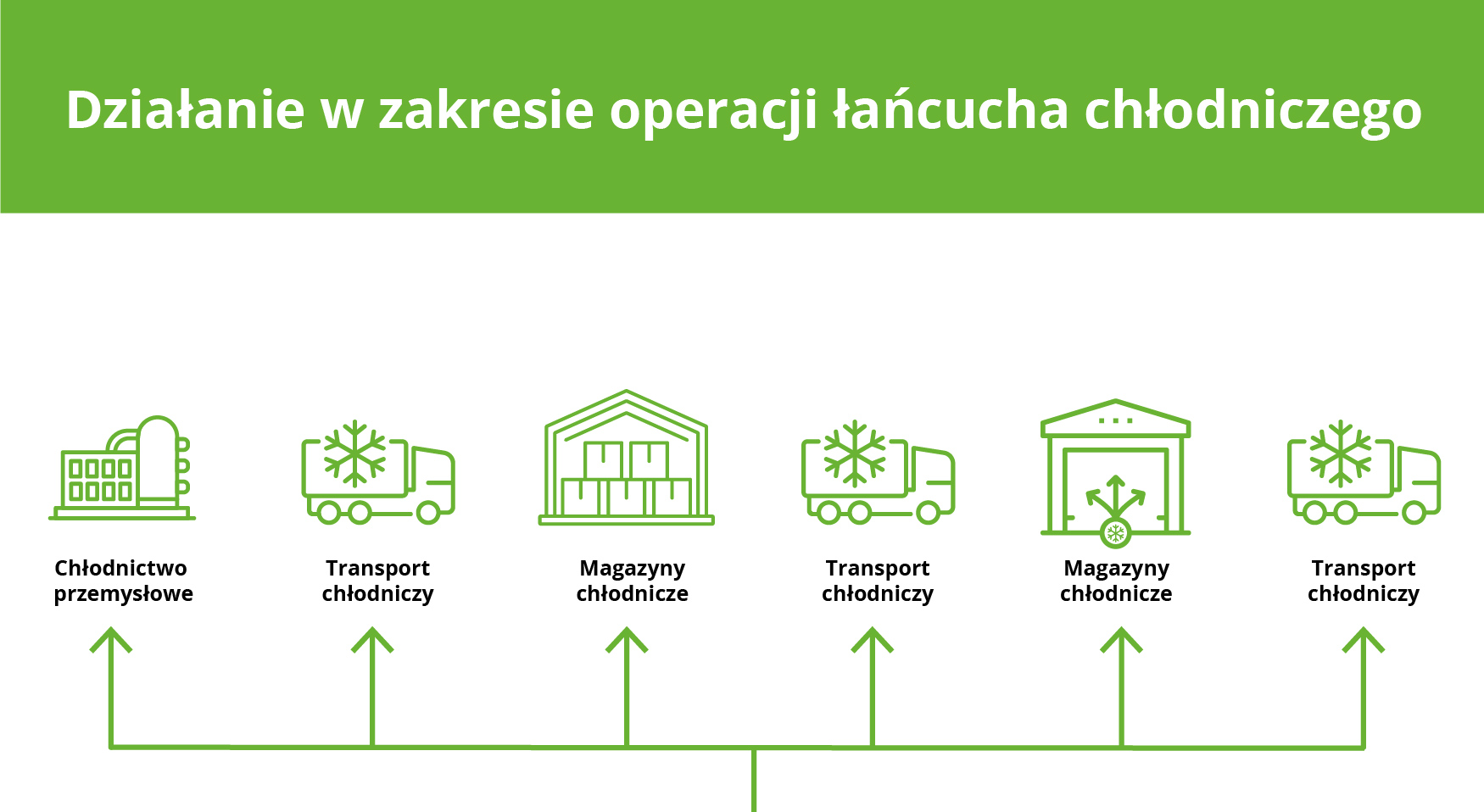 Łańcuch chłodniczy - Omida Logistics