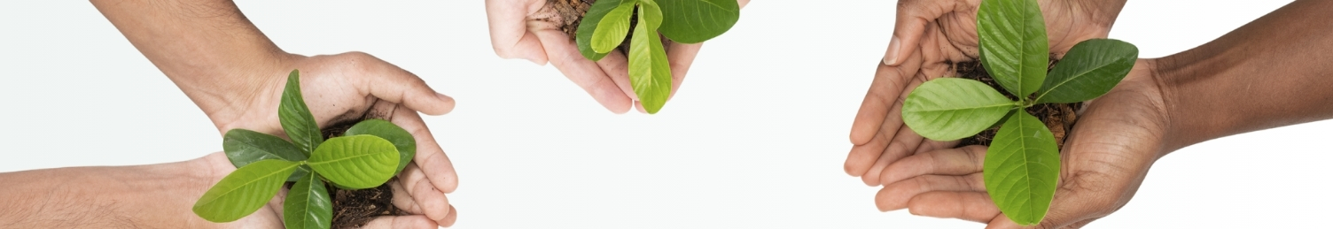 See our environmental-conscious products