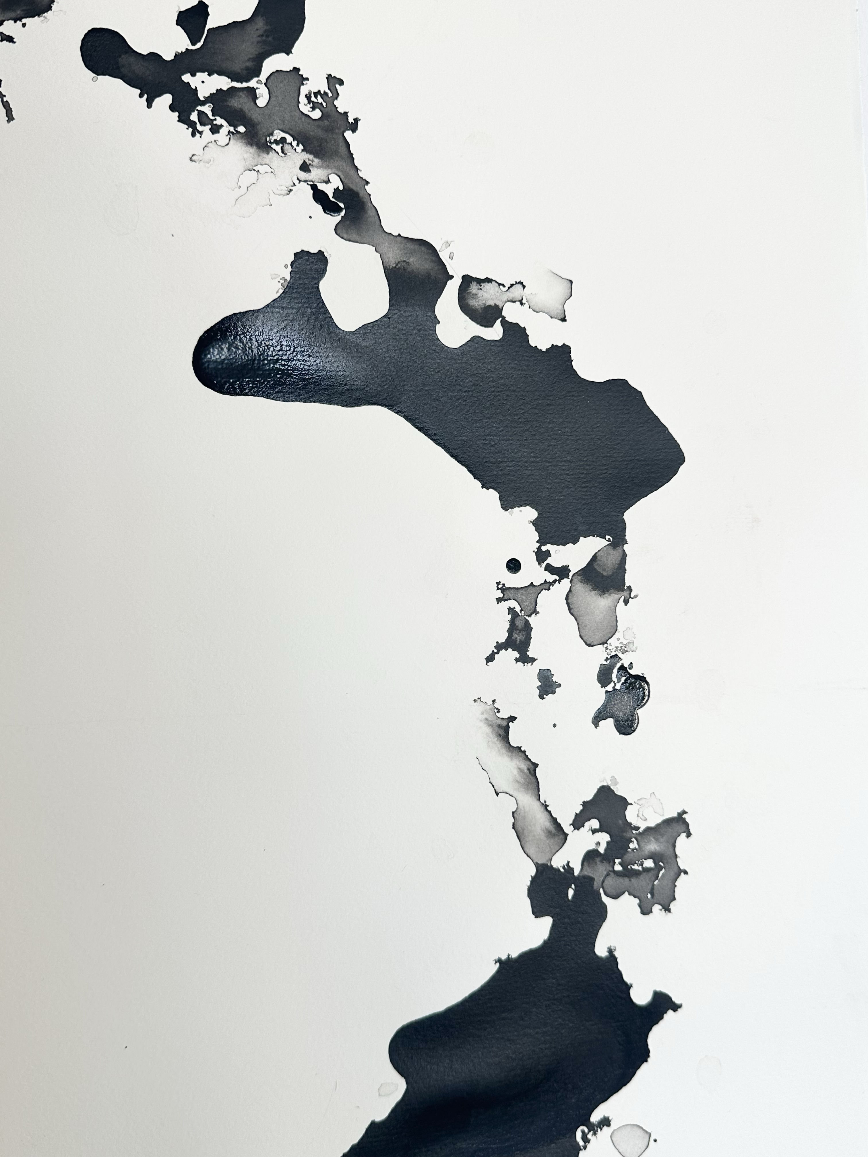 Ink Detail – Abstract Artwork