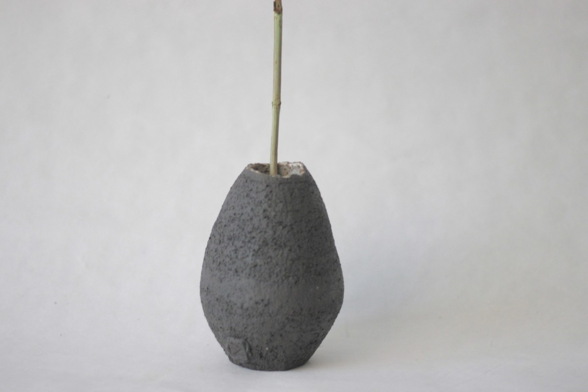 black ceramic vase with a plant on a gray background close shot