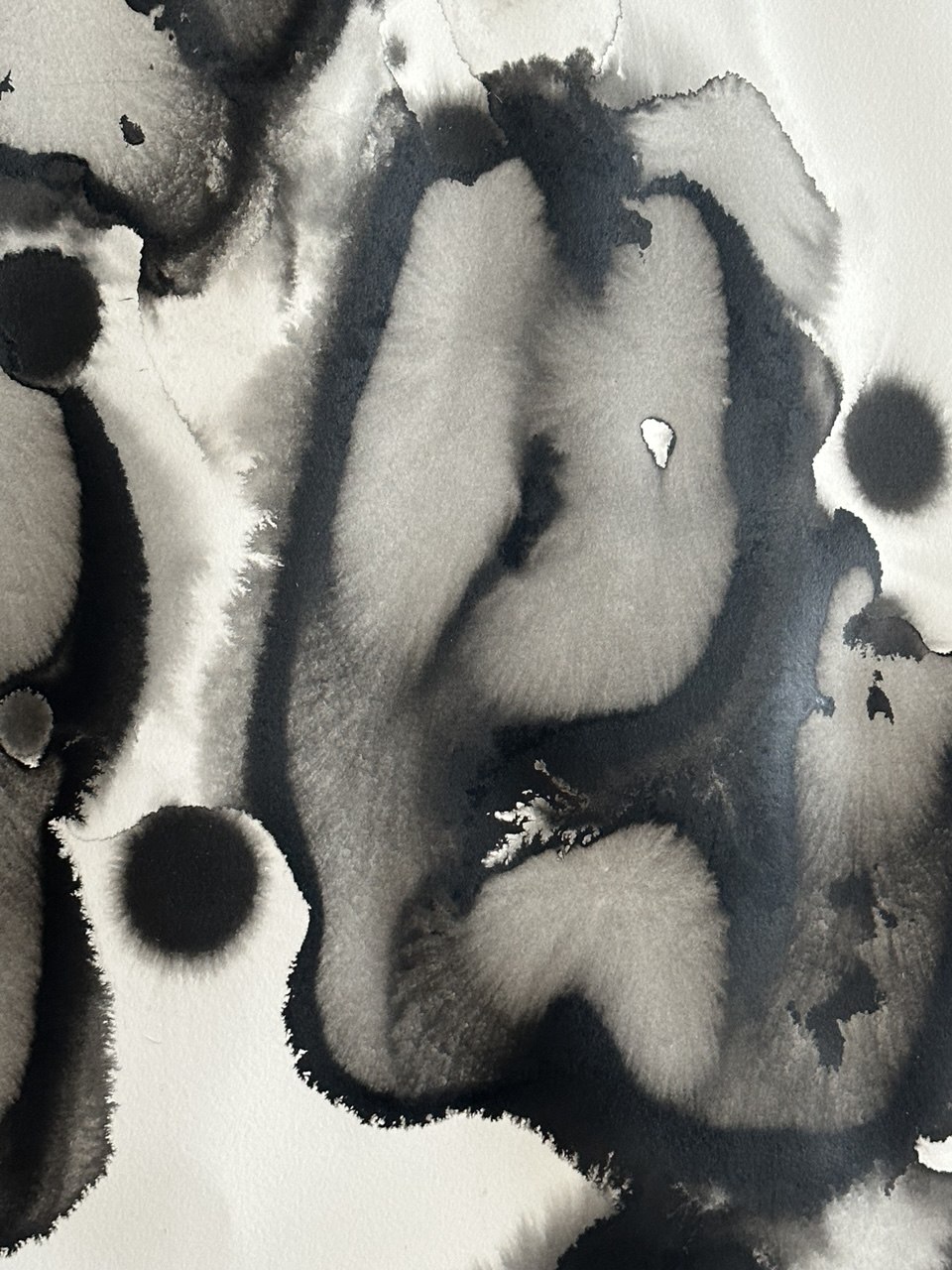 Circle XI detail, ink on paper by Evgeniia Kazarezova, Circle of Life project