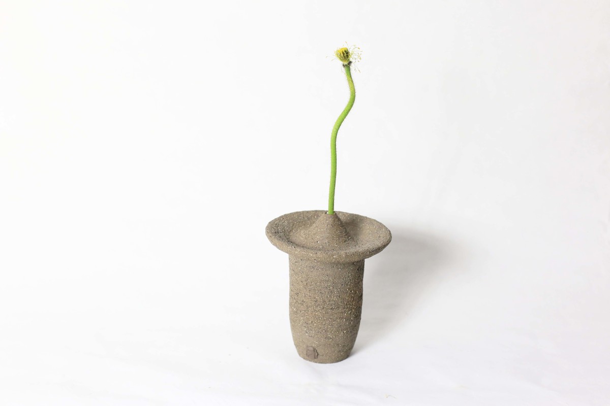 Ufo shaped gray ceramic vase with a flower stem on a white background