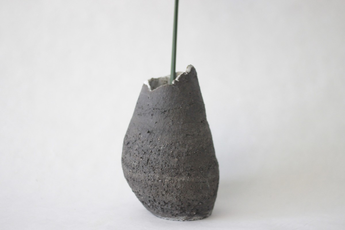 bellied black ceramic vase with plant on a gray background close shot