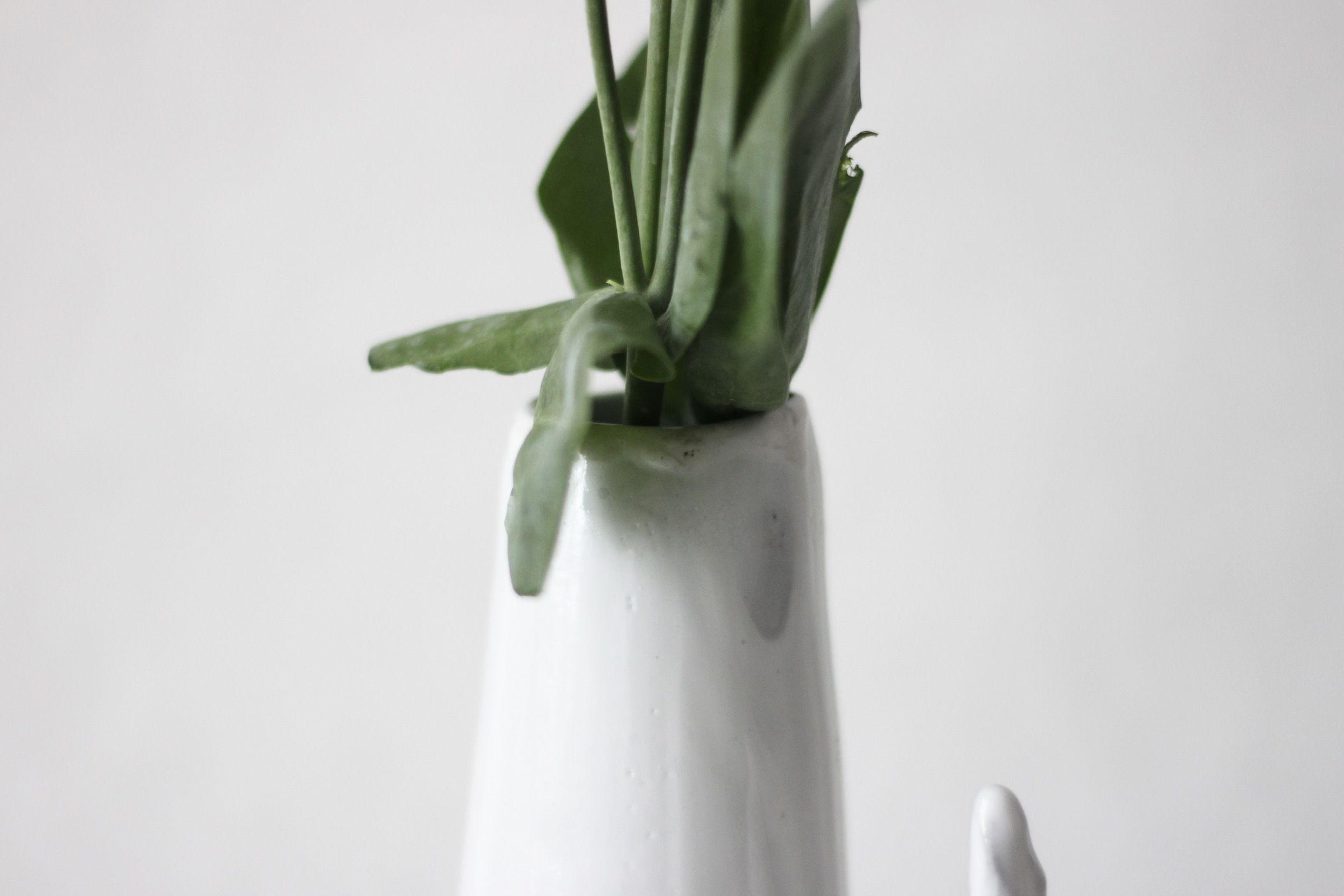 Close-Up of Sprouted Freeform Vase with Greenery – Handcrafted Ceramic Design