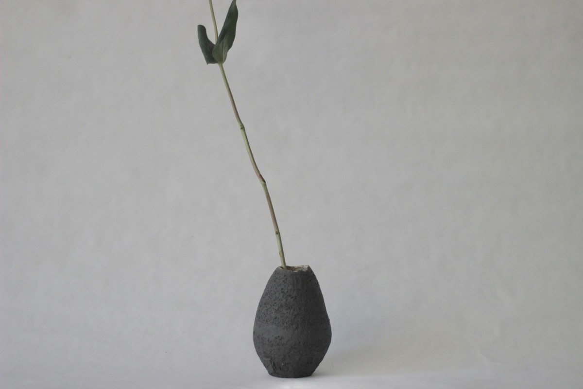 black ceramic vase with a plant on a gray background
