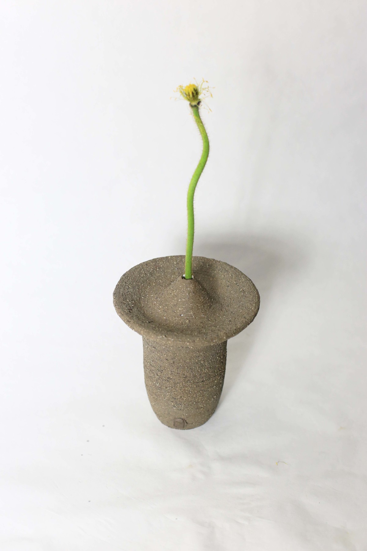 Ufo shaped gray ceramic vase with a flower stem on a white background view from above