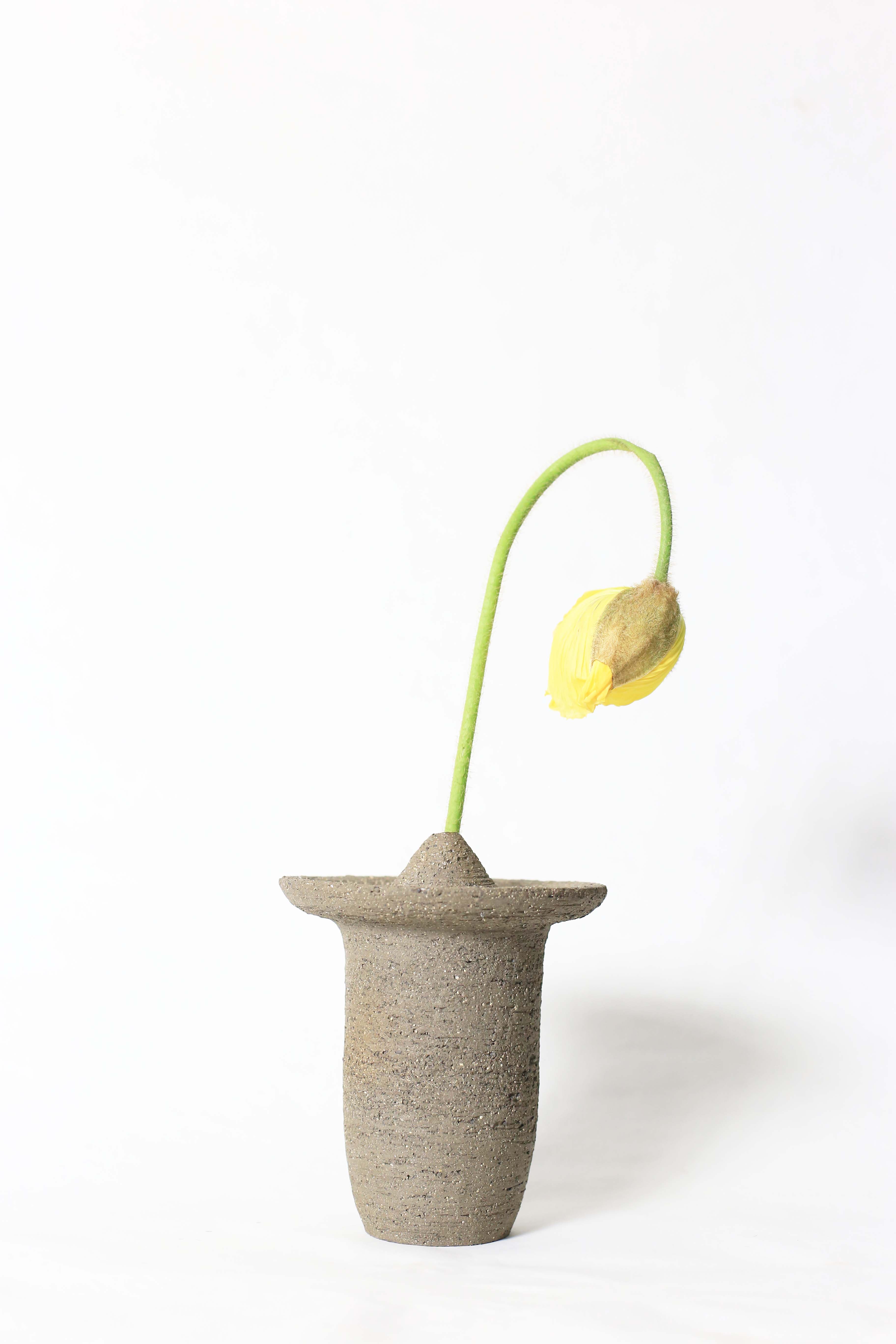 Ufo shaped gray ceramic vase with a yellow flower on a white background