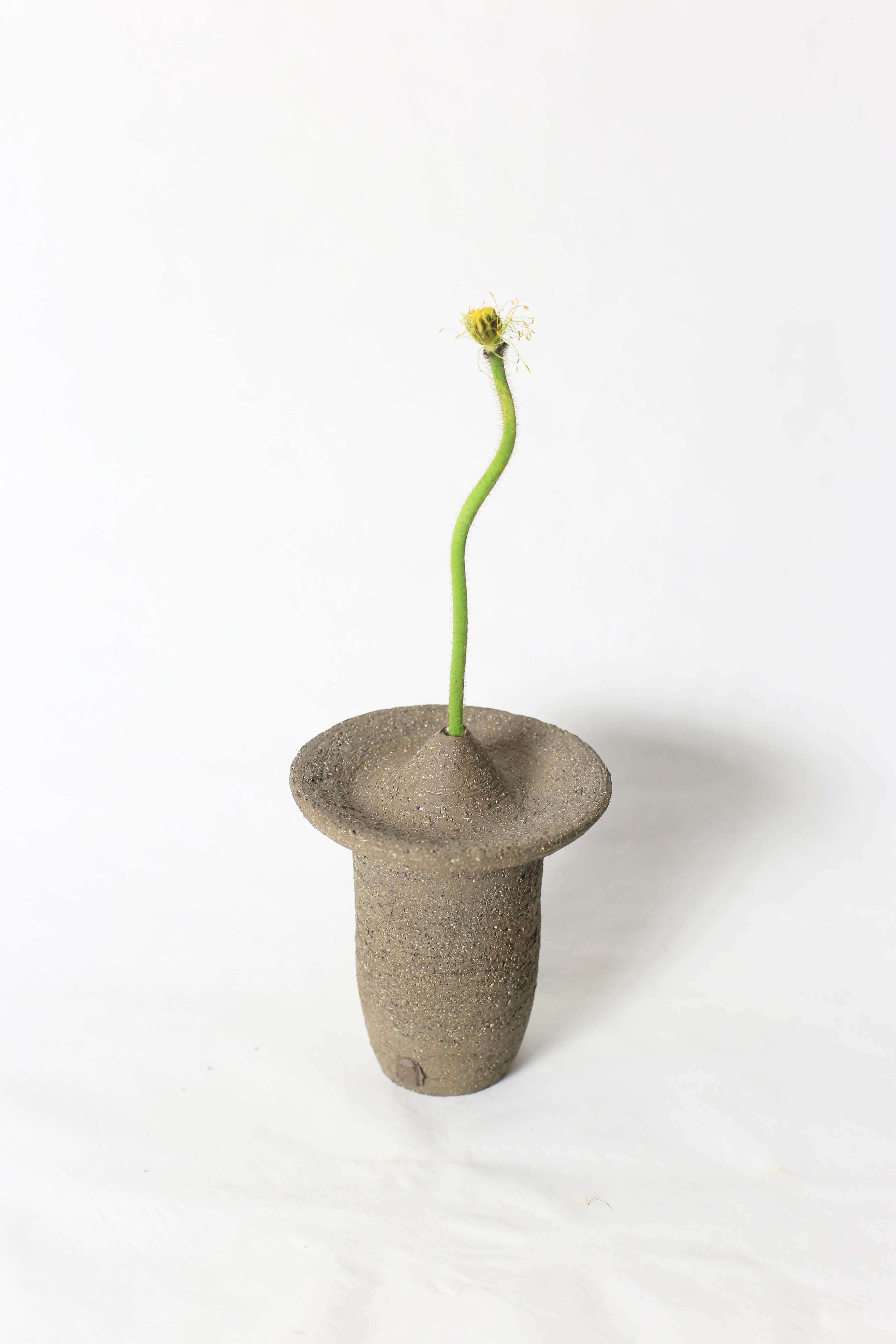Ufo shaped gray ceramic vase with a flower stem on a white background view from above 1