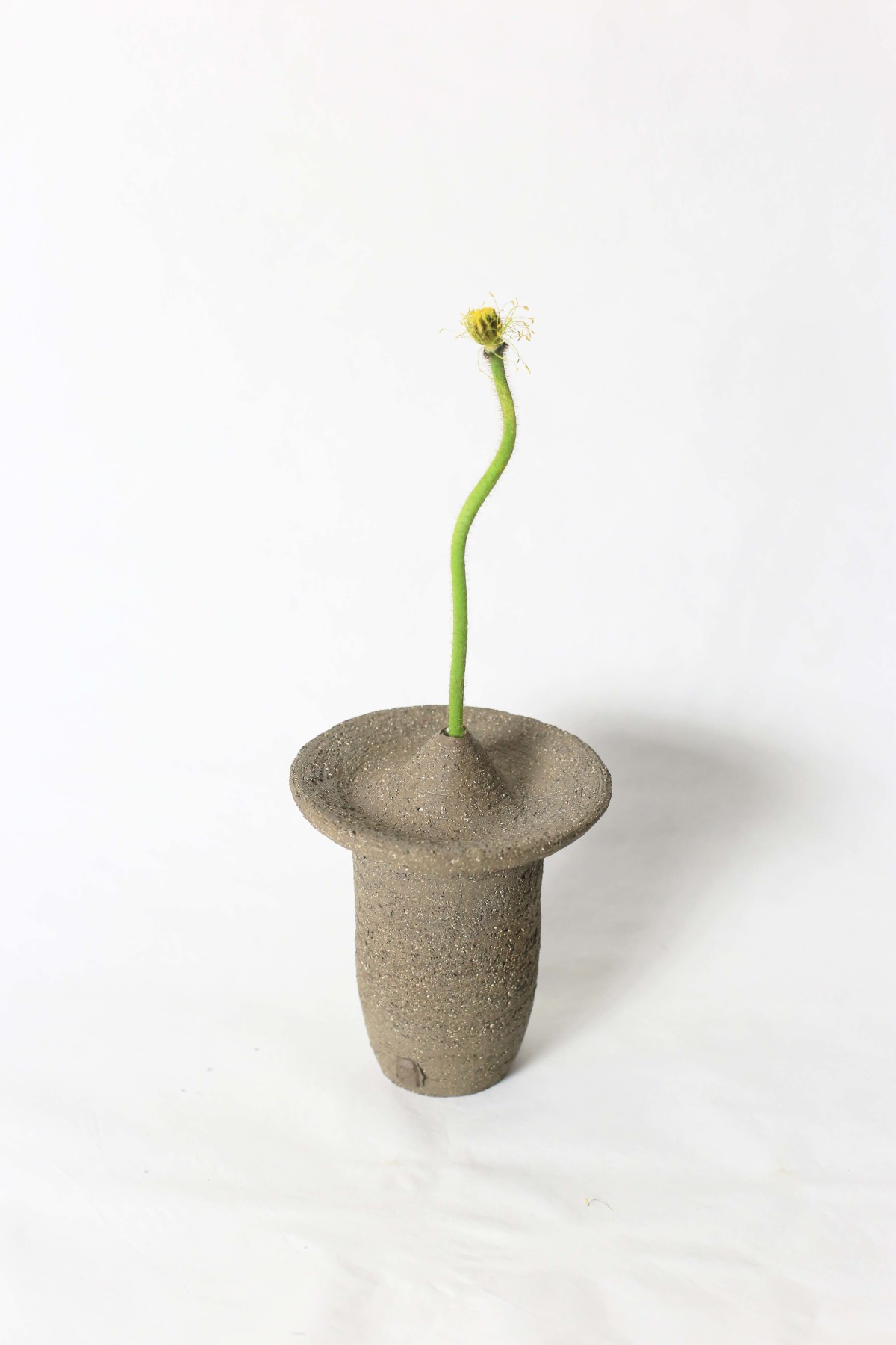 Ufo shaped gray ceramic vase with a flower stem on a white background view from above 1