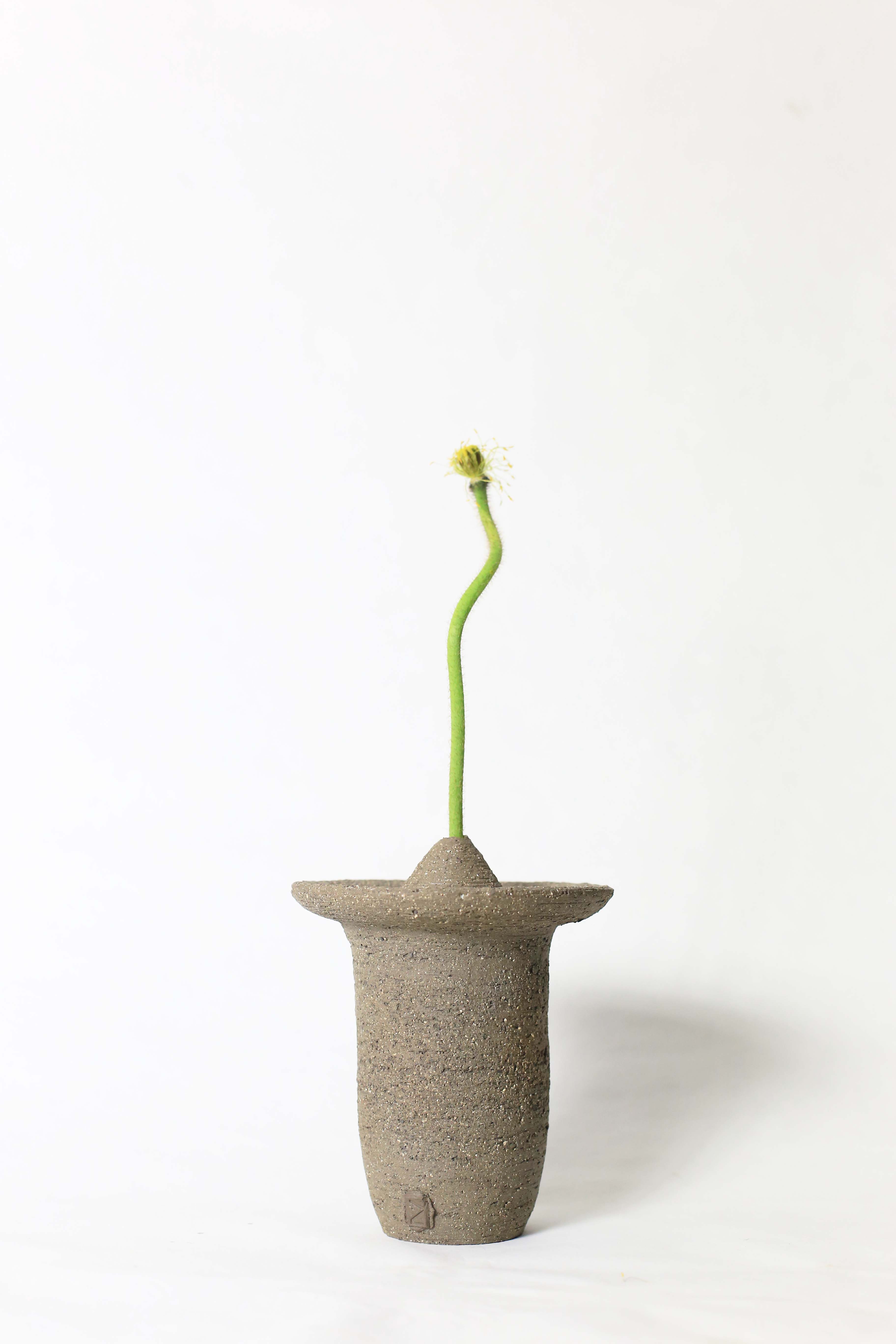 Ufo shaped gray ceramic vase with a flower stem on a white background 2