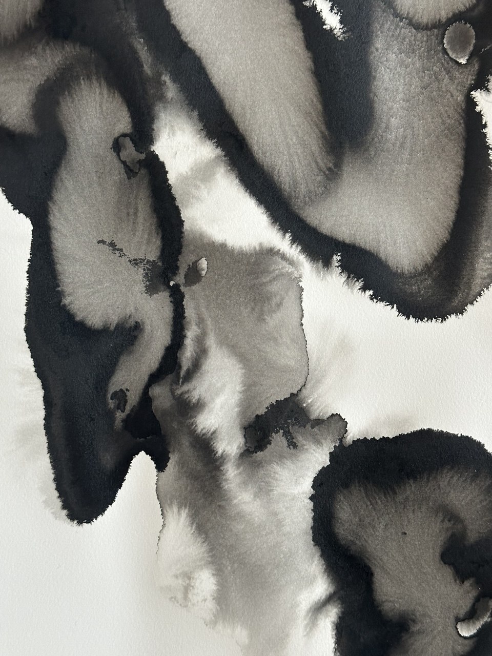 Circle XI detail, ink on paper by Evgeniia Kazarezova, Circle of Life project