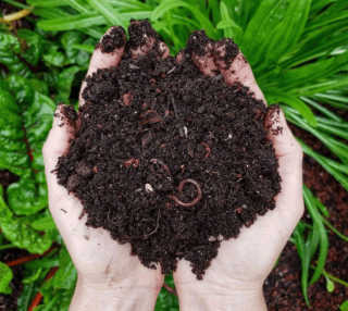 Composting