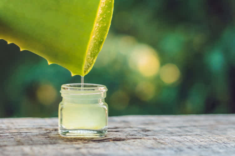 Aloe Vera