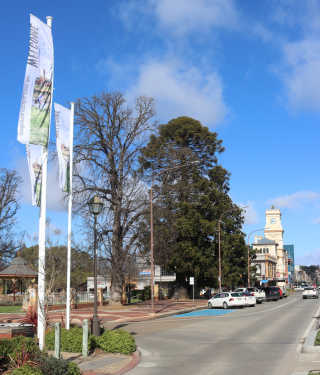 Flying-the-Flag-for-Goulburn-