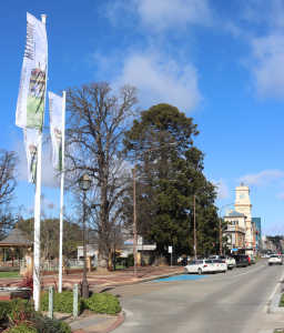 Flying-the-Flag-for-Goulburn-