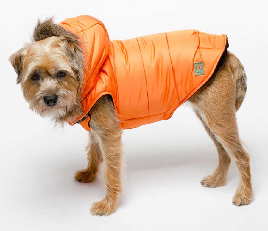Coats-for-Dogs