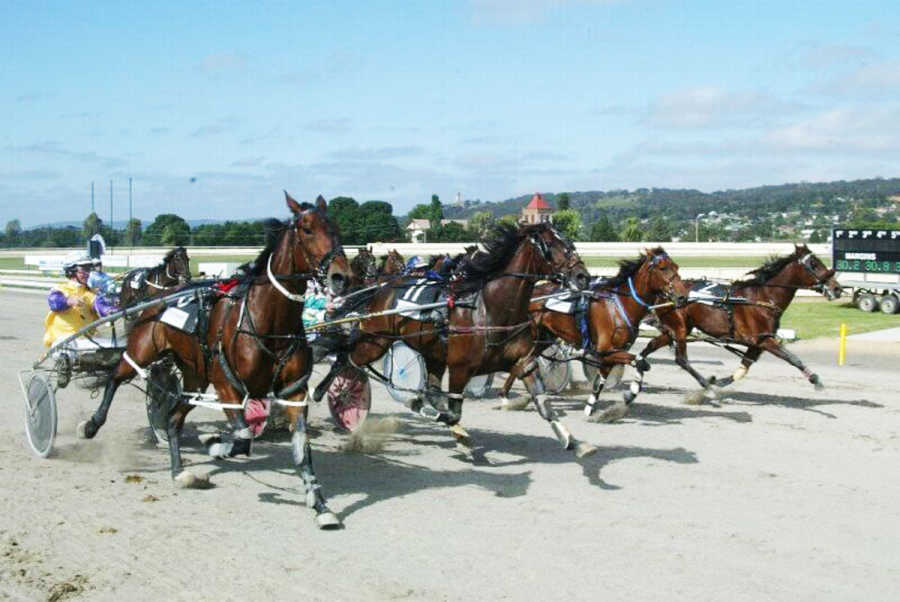 Goulburn Harness Racing