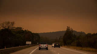 Bushfire preparation.