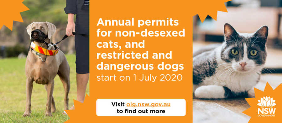 Annual Permits Non desexed cats and dangerous dogs