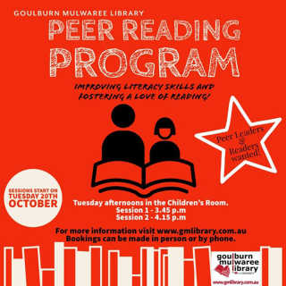 Peer reading program.