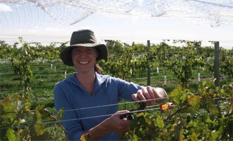 Kingsdale Wines