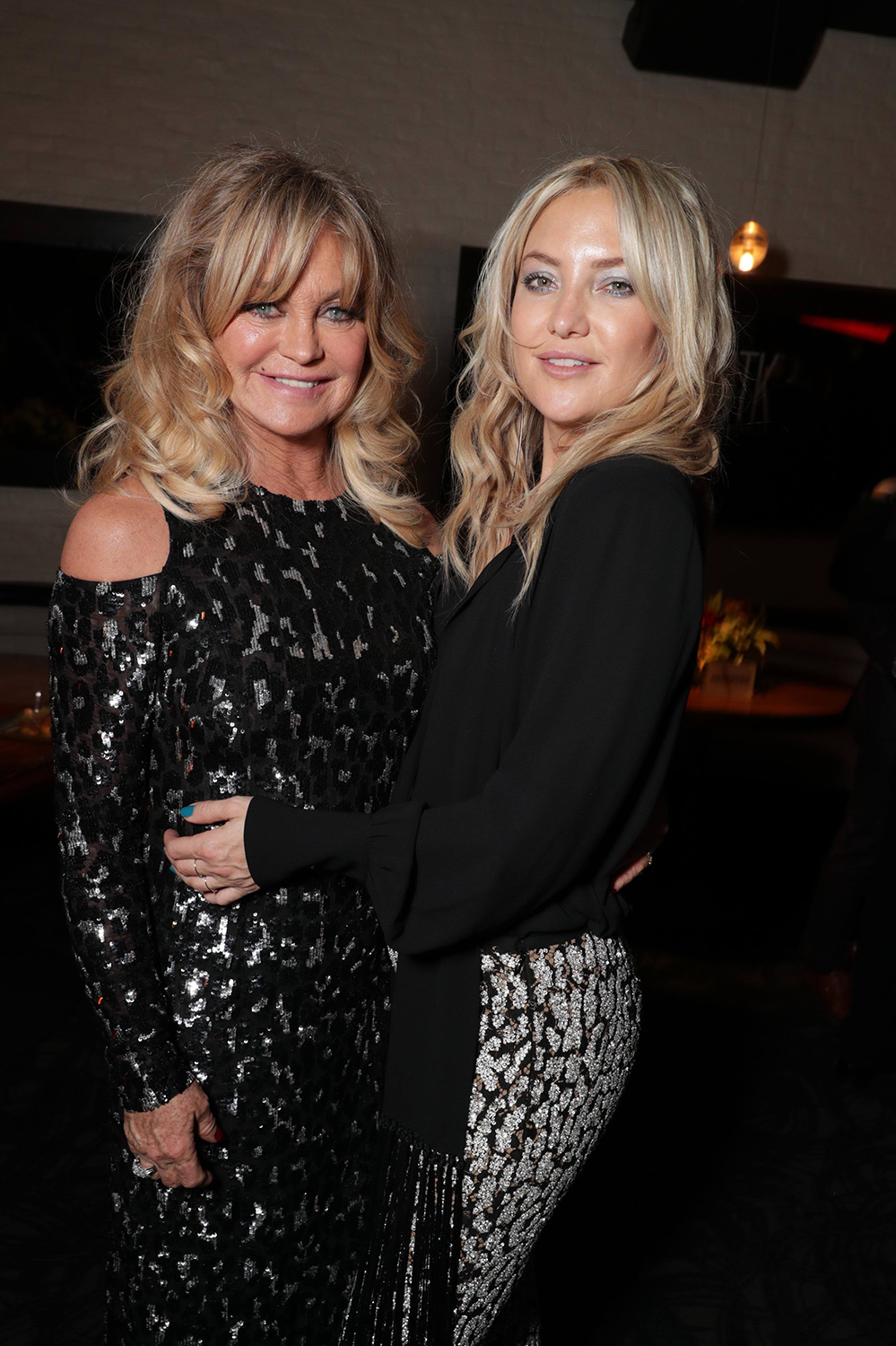 Snatched Premiere Hero